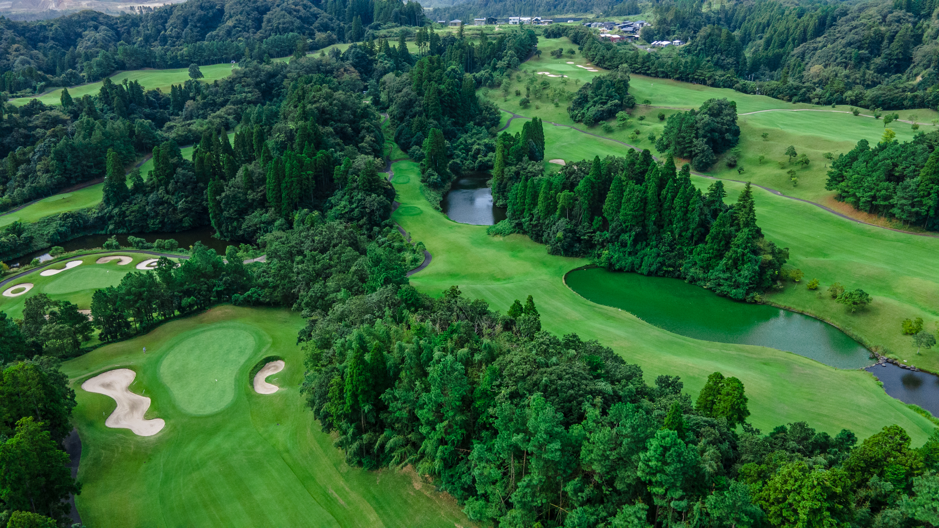 美しいコースの風景